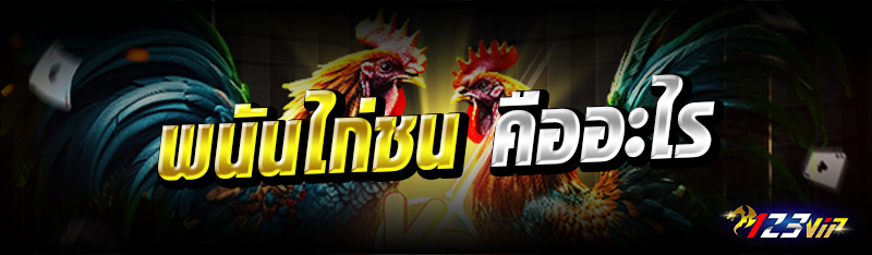 พนันไก่ชน คืออะไร 